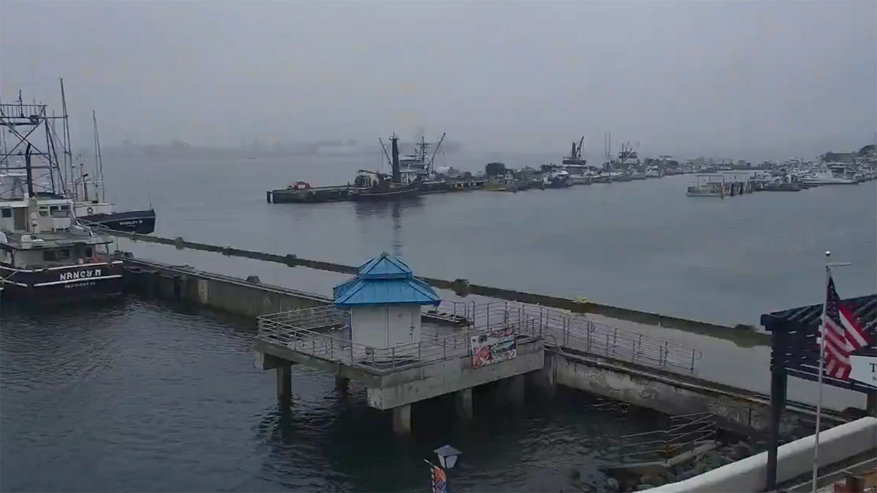 Military Aircraft Plunges into San Diego Bay – Stunning Scene Near Naval Air Station!