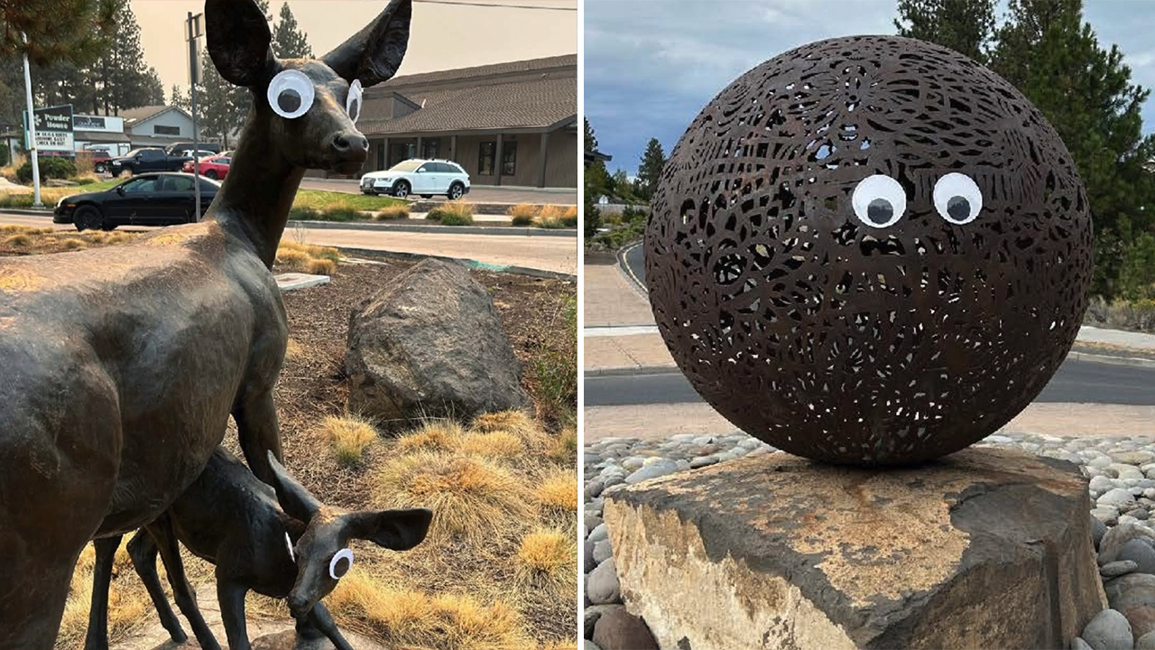 Oregon Man Confesses to Masterminding Viral Googly Eye Art Prank