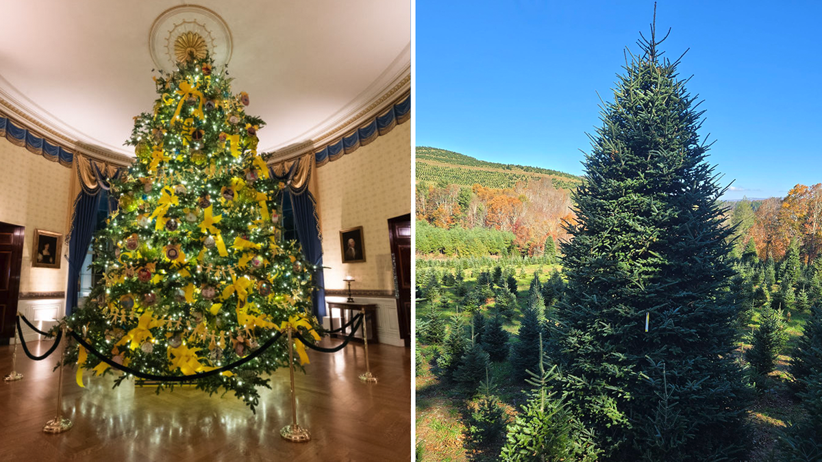 White House Christmas
