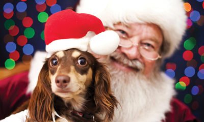 Lee County Domestic Animal Services to host Pet Fest and photos with Santa | The definitive guide to travel and tourism for Southwest Florida including golf, fishing, dining, attractions, shopping, Fort Myers, Bonita Springs, Sanibel Island, Boca Grande, Punta Gorda, Pine Island, Cape Coral, Fort Myers Beach, Port Charlotte, Capti