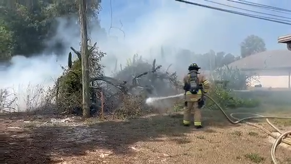 Fire pit sparks San Carlos Park brush fire