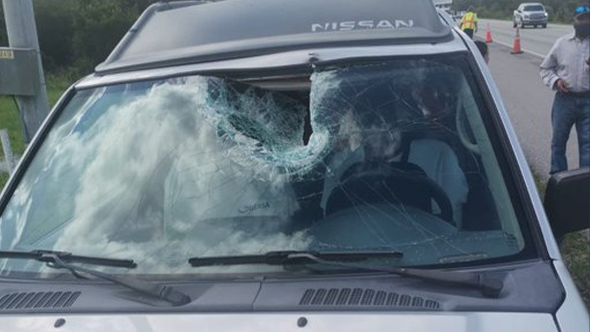 Brake pad smashes through car windshield on I-75