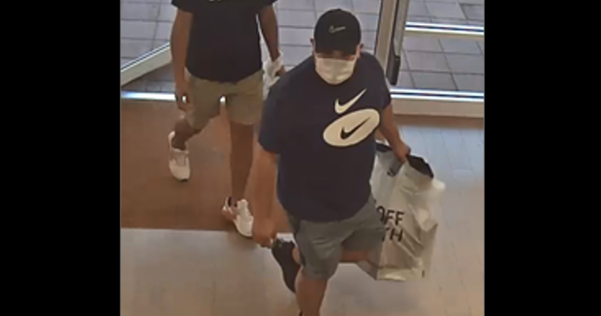 Suspects seen on shopping spree with stolen credit cards