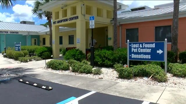 Officials stress importance of microchipping pets after holiday weekend