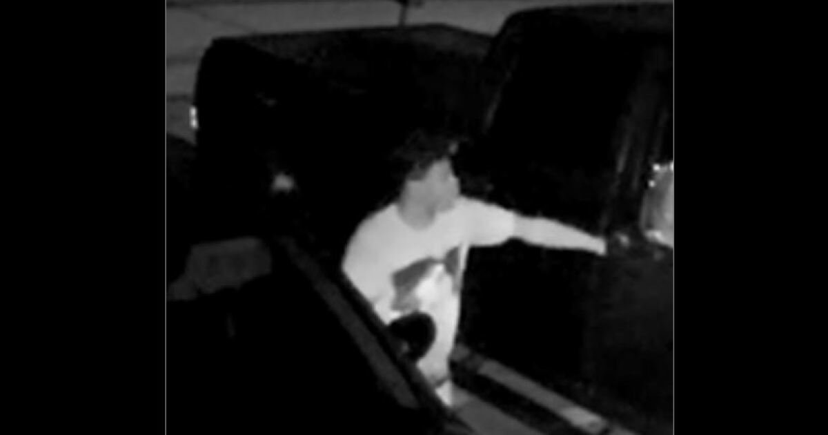 Police need help identifying suspect who stole pistol from a car