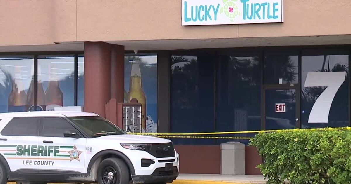 Lee County deputies investigating arcade robbery at the Lucky Turtle