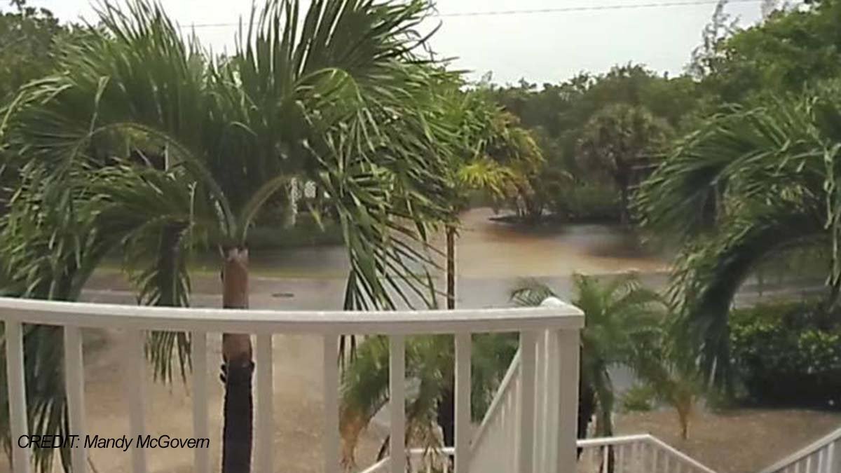 Sanibel streets see widespread flooding due to Tropical Storm Sally