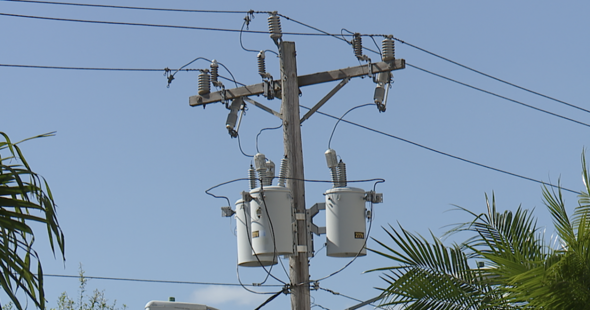 LCEC may see a credit on electricity bill
