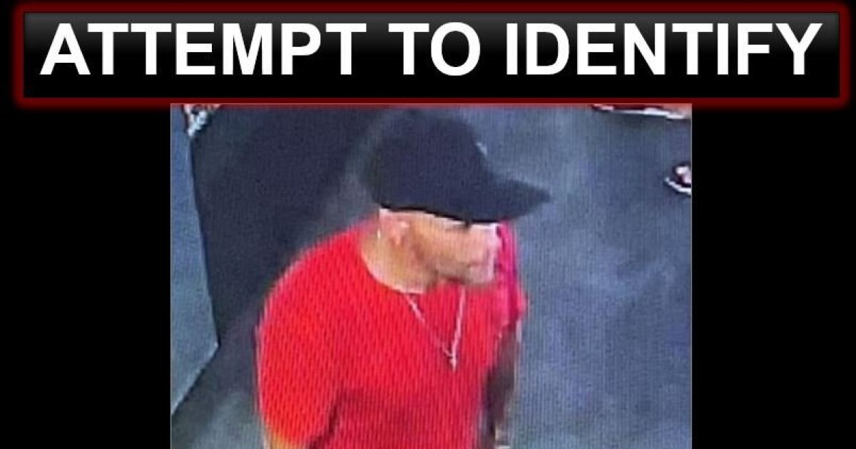 Authorities need help identifying sunglasses thief
