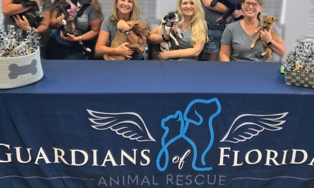 Local animal rescue leases new kennel facility