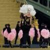 Lady Gaga Shines at Olympics Opening Ceremony with Stunning Pre-recorded French Performance!