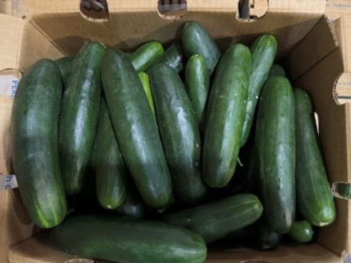 Cucumbers Pulled from Shelves Due to Potential Salmonella Contamination!