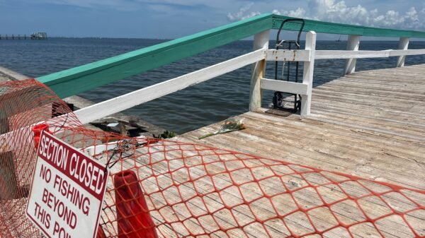 Video Shows Aftermath of Driver Attempting to Hit Man at Pier