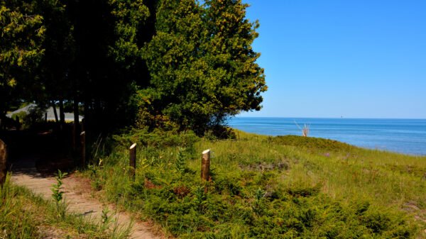 Discover Why Kohler-Andrae State Park Is the Midwest’s Hidden Gem!